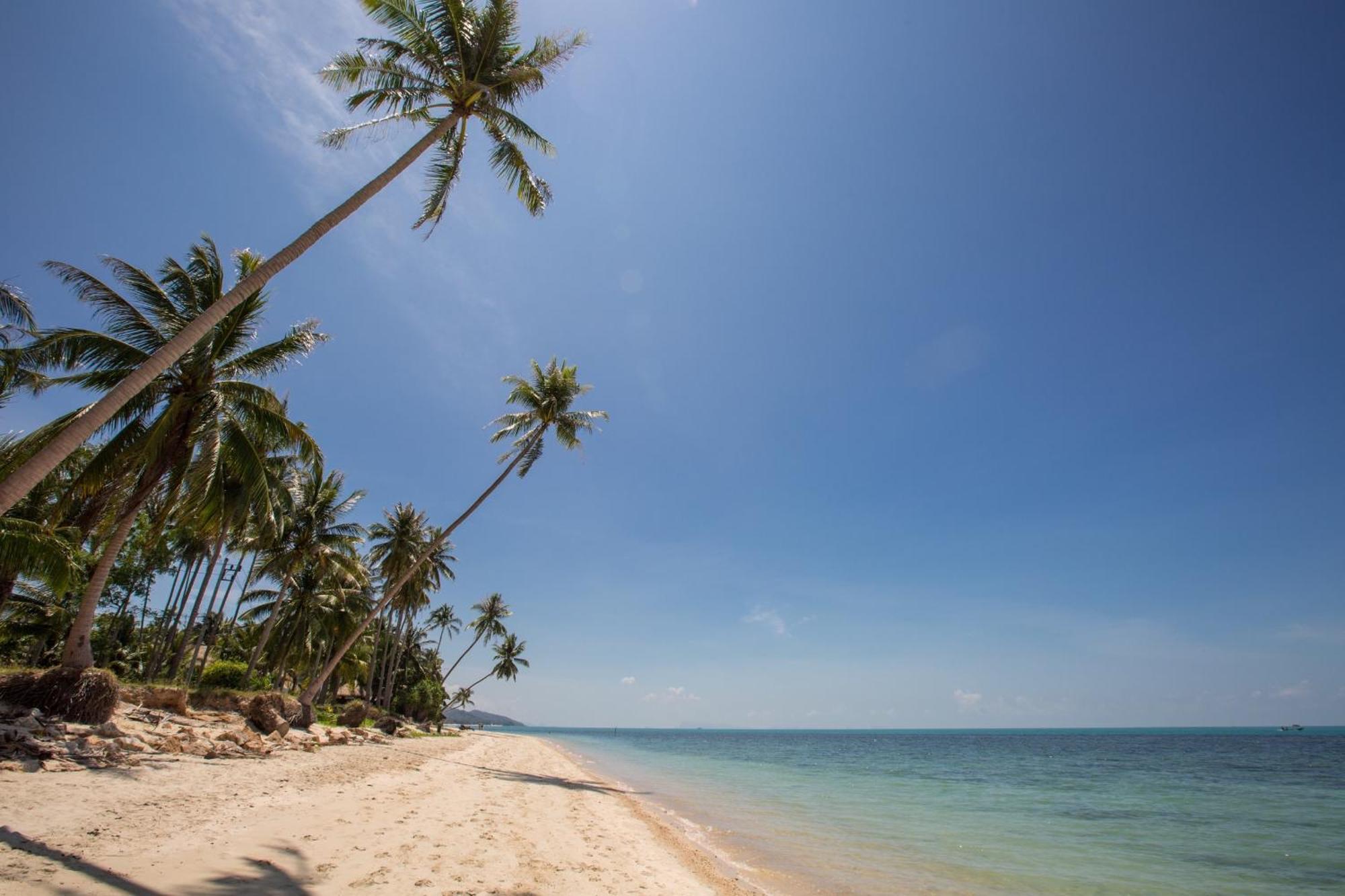 Sea&Sky Beach Resort Mae Nam Exteriör bild